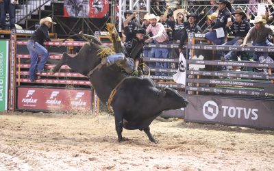 WhatsApp-Image-2024-07-29-at-09.33.33-11