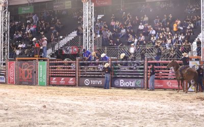 WhatsApp-Image-2024-07-29-at-09.33.33-2