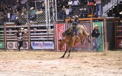 WhatsApp-Image-2024-07-29-at-09.33.33-4