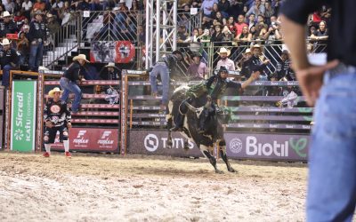 WhatsApp-Image-2024-07-29-at-09.33.33-8